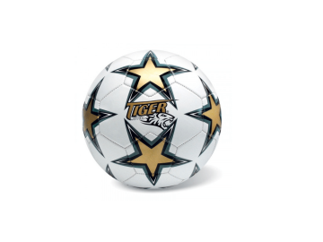 Star žoga nogometna