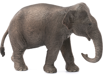 Schleich figura Slon azijski - samica