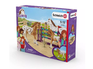 Schleich Klub za konje - Lizino treniranje
