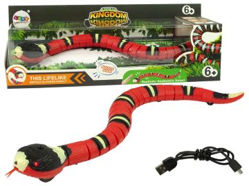 Kača na daljinsko vodenje 10384