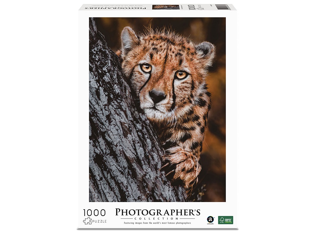 1000 Piece Puzzle For Adults Dreamtimes Jigsaw Puzzles For Adults 1000 Pieces Landscape Of Flower Floral Art Painting Puzzle Buffalo Games Jigsaw Puzzles 1000 Pieces
