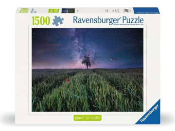 Sestavljanka Nočno nebo nad koruznim poljem 1500d eigrace