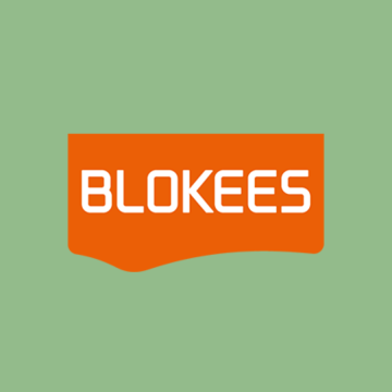 Blokees figure